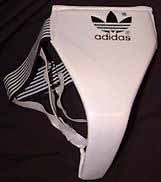 groin protection